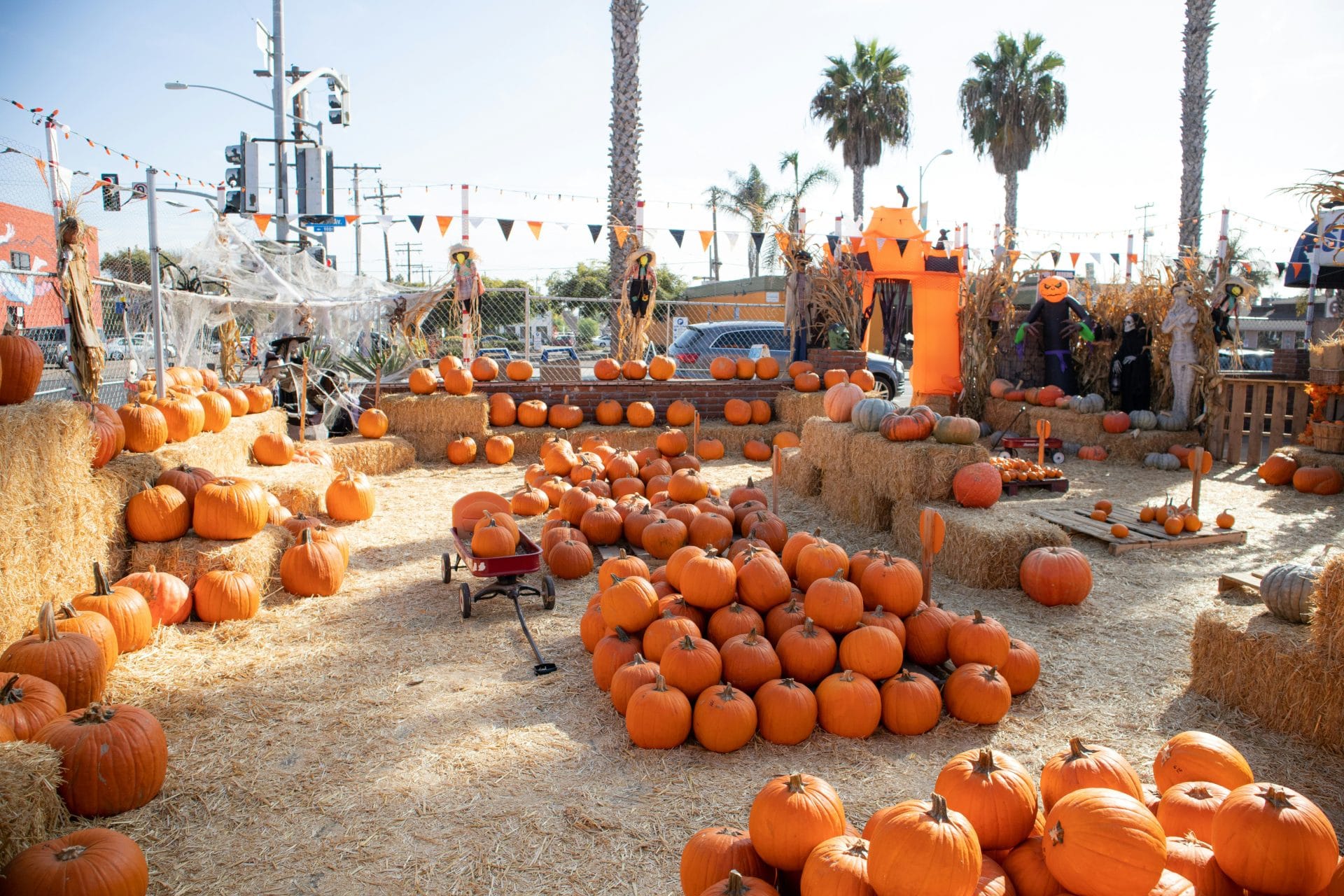 Sacramento Fall Festivals for Families 2025—a snapshot of seasonal activities and community fun.